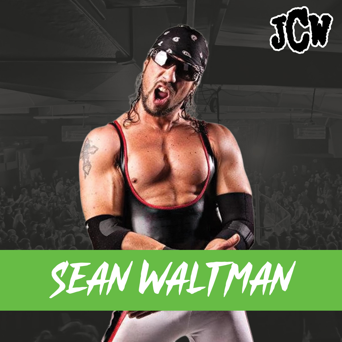 Sean Waltman